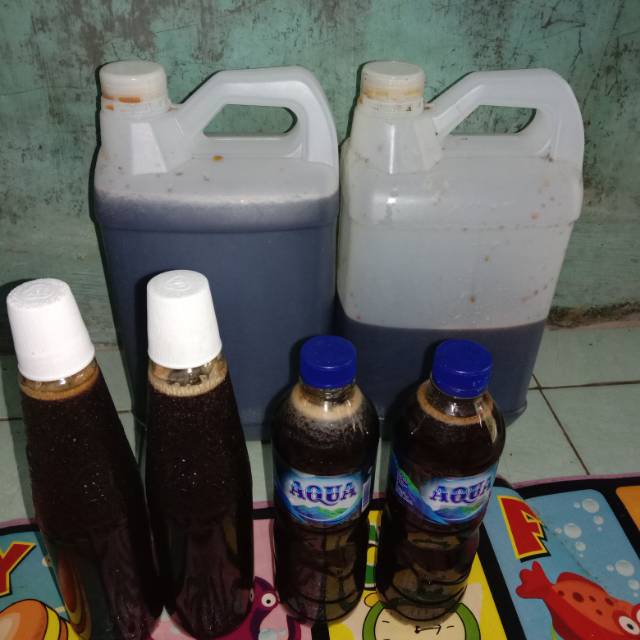 

Madu ASLI hutan Kalimantan