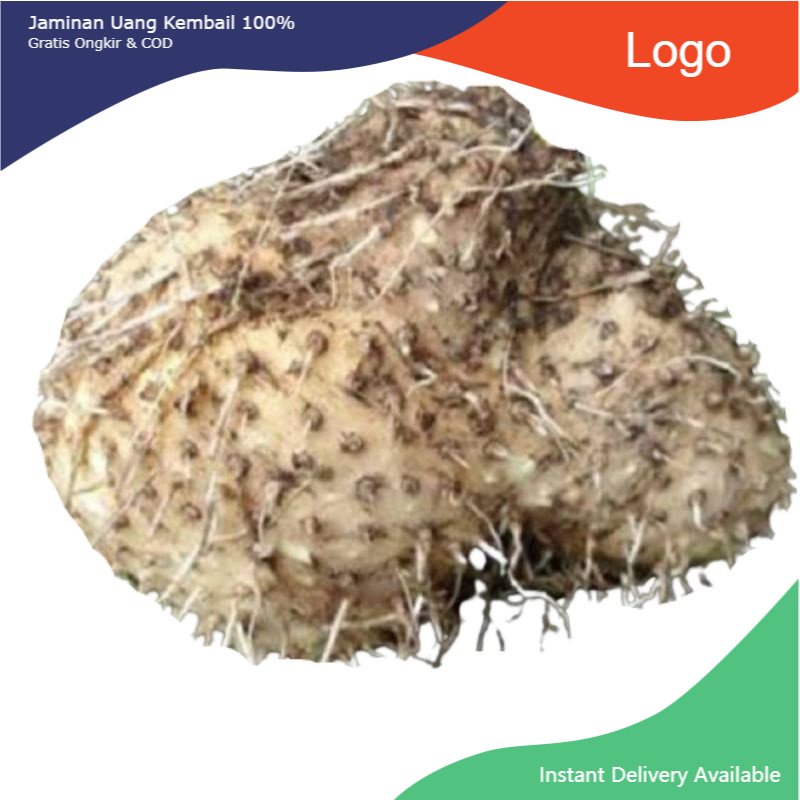 

Promo Umbi gadung segar 1kg utuh