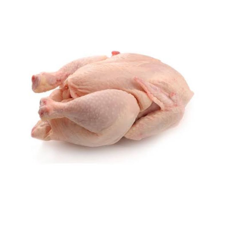 

ayam potong fres