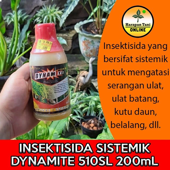 Dynamite 510SL 200mL | Insektisida Sistemik | Ulat, Belalang