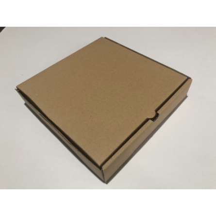 

Corrugated/Packaging/Box Makanan/Kotak Kado/Clothing/Kemeja - Karton Box (30x30x5cm)