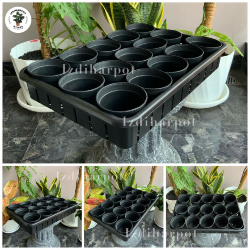 1 SET TRAY + 15 PCS POT HITAM 10CM | TRAY POT NKT 50CM | TRAY SEMAI BIBIT