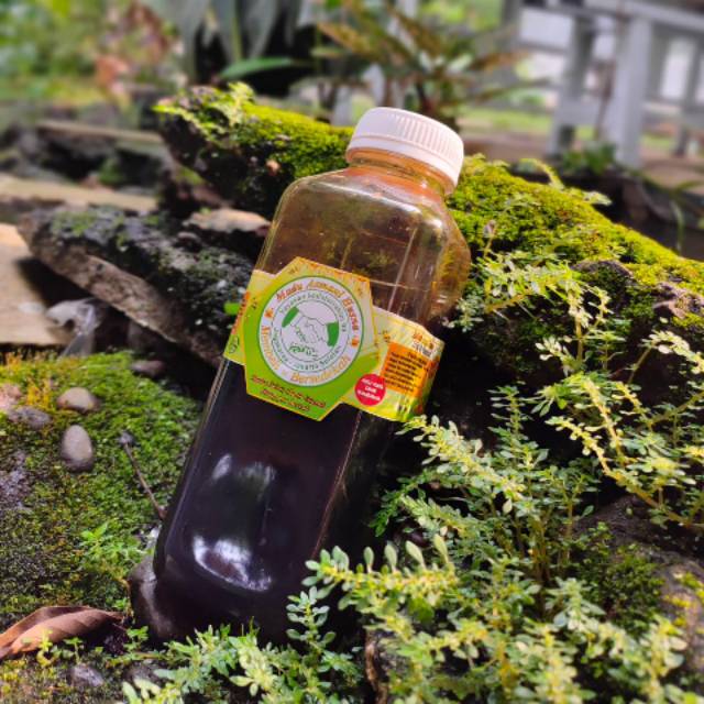 

Madu Hitam Netto 600 Gram
