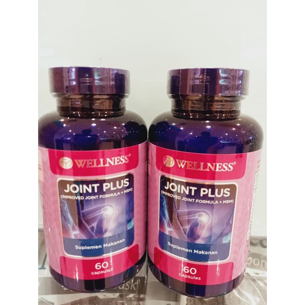 Wellness Joint plus 60