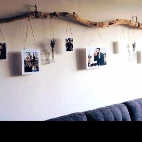 Terhot Ranting Pohon , Ranting Kering , Ranting Kayu, Ranting Kemuing , Dried 