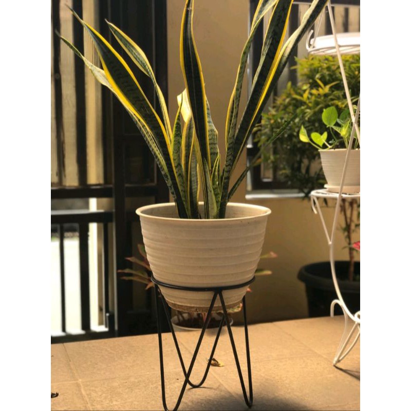 standing pot besi/dudukan pot tanaman D25cm tinggi 50cm