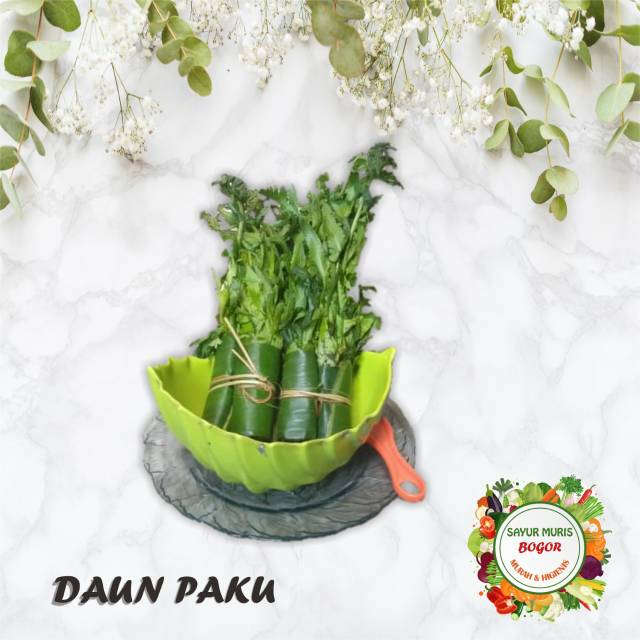 

Sayur Daun paku / ikat