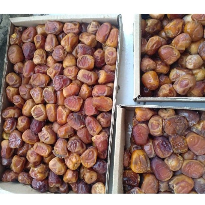 kurma sukari al qosseem 3 kg