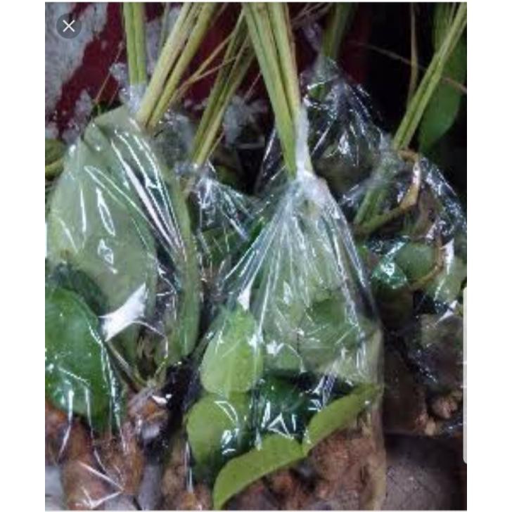 

Jual Bumbu Dapur Pasar Sayur Bandungan Semarang