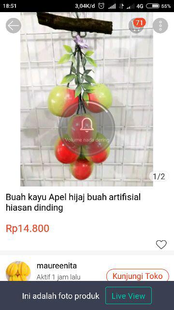 Buah Kayu Apel Hijaj Buah Artifisial Hiasan Dinding