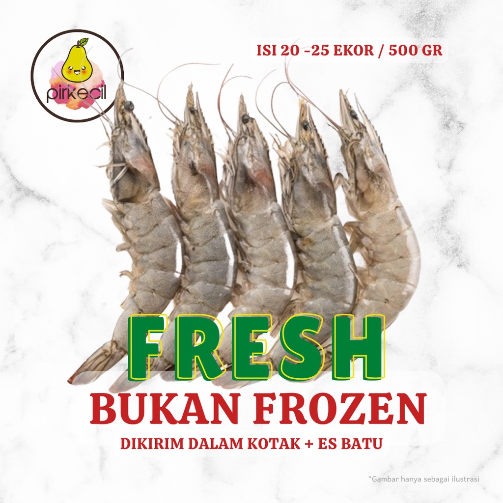 

Udang SEGAR (Ukuran Besar)