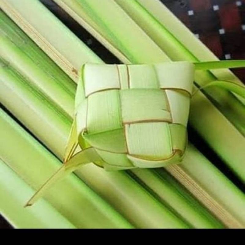 

Daun kelapa muda untuk janur per 20Lembar