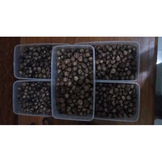 

Terlariss Black Garlic Lanang 1/2 Kg (Agen) Bawang Hitam Tunggal Produk Baruu