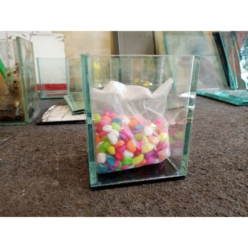 soliter kaca cupang aquarium ikan cupang 10x10x15 + batu warna