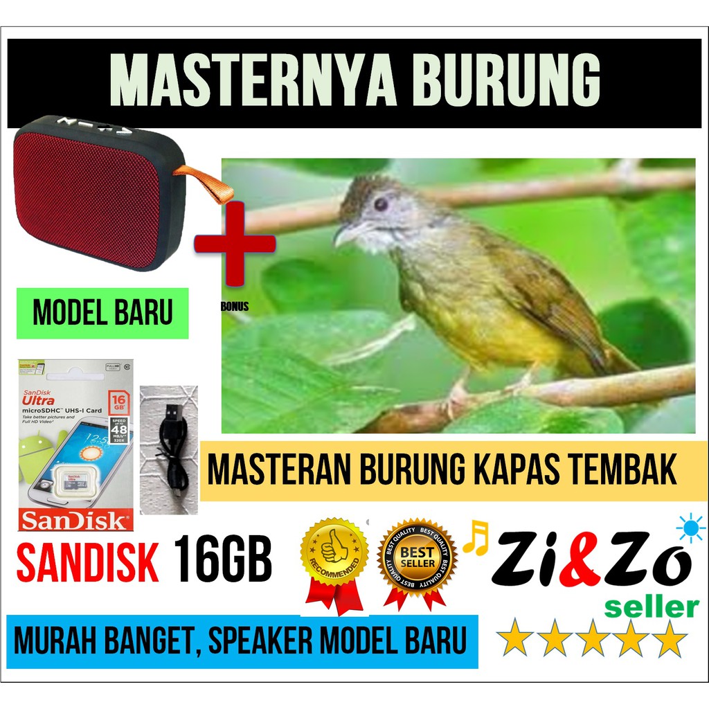 Masteran Burung Kapas Tembak Gacor Termurah