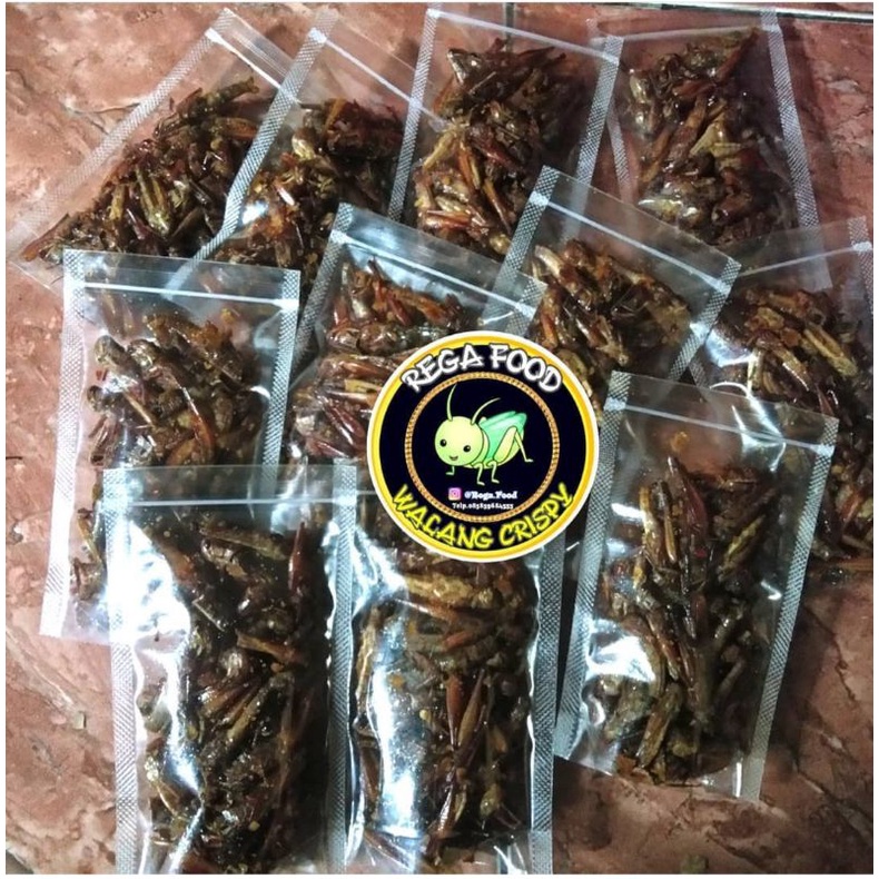 

BELALANG/ WALANG GORENG BESAR/KAYU 45gr REGA FOOD