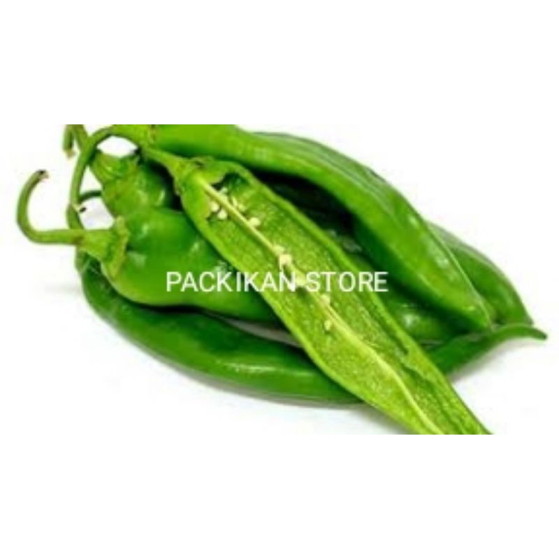 

Cabe Ijo Segar Dan Bergarasi 250 g