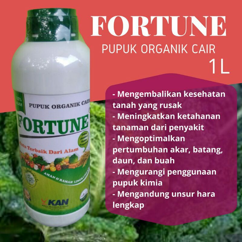 Pupuk Cair Alami Untuk Padi, Pupuk Organik Cair Fortune 1Liter, Pupuk Daun Padi Cair