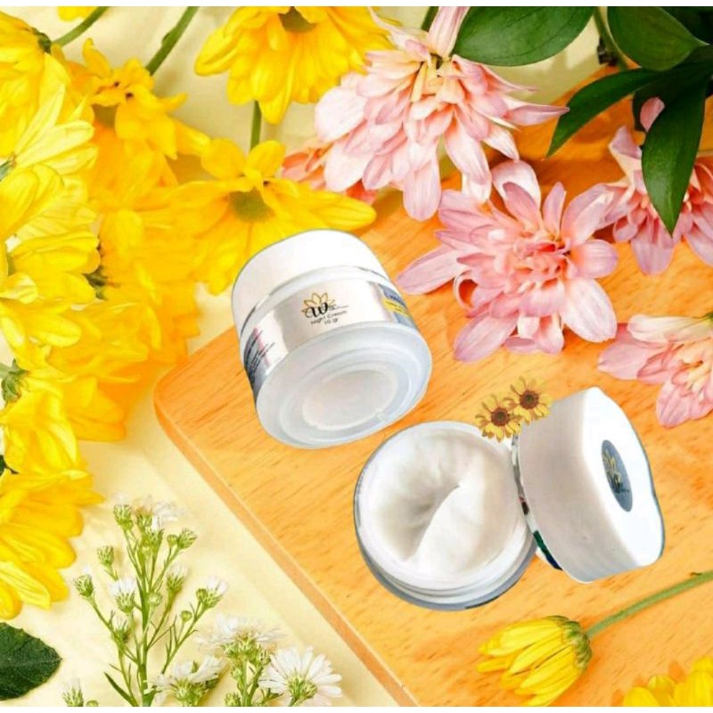 CREAM WSC ORGANIC ECER SIANG DAN MALAM
