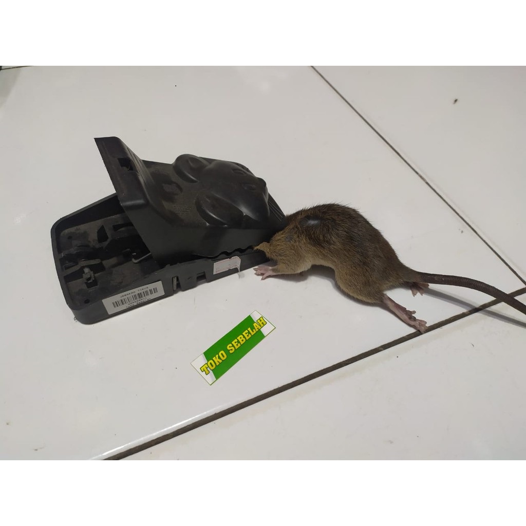 &lt; M.A &gt; Alat Jebakan tikus / Alat Perangkap Tikus / pembunuh tikus