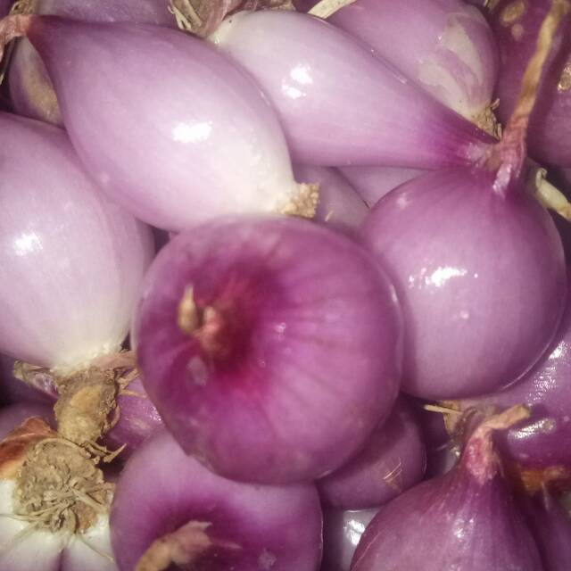 

Bawangg merah KUPAS kualitas baik