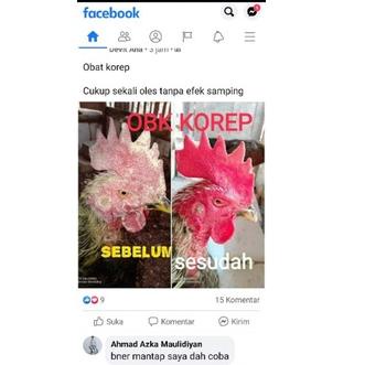 Lagi Tren.. Obat Kurap Ayam, Obat Korep Ayam, Obk Korep, Obk Kurap