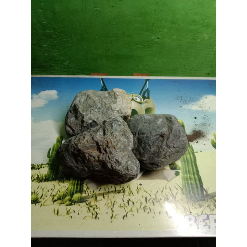 

batu turly per 1kg