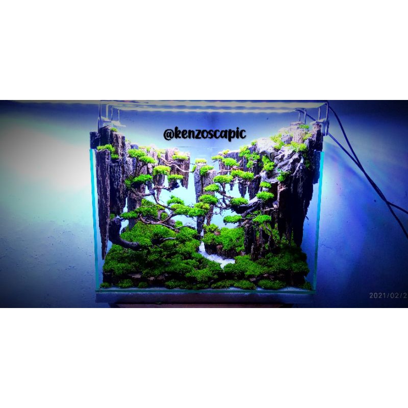 hardscape aquascape avatar 40x25x25