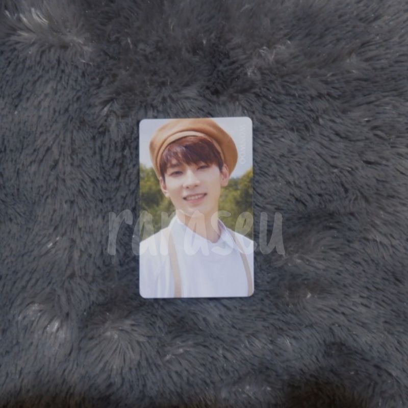 Wonwoo HMV Beret Photocard