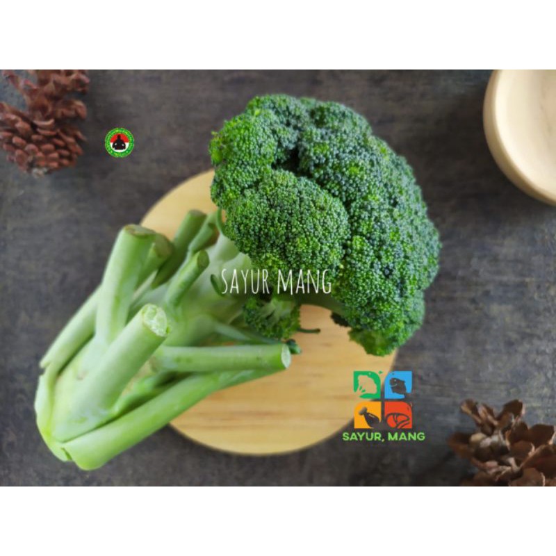 

Brokoli I Sayur Mang