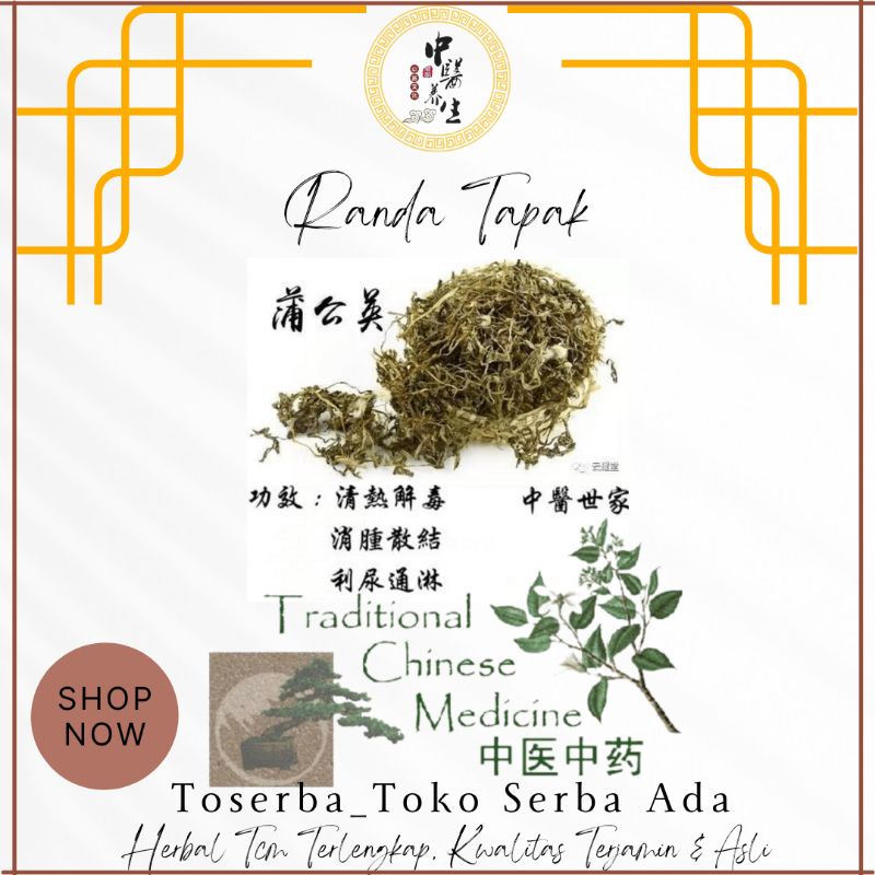 

100gr Herbal Pu Gong Ying 蒲公英 Dandelion Rumput Randa Tapak Premium Grade