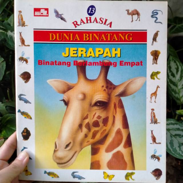 Buku Pengetahuan Rahasia Dunia Binatang: Jerapah- Hewan Berlambung Empat