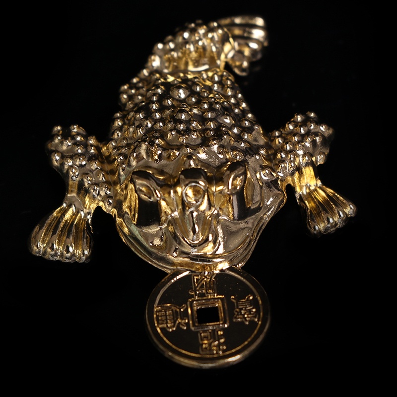 5pcs Feng Shui Pocket Toad Frogs Fortune Untuk Dekorasi Rumah