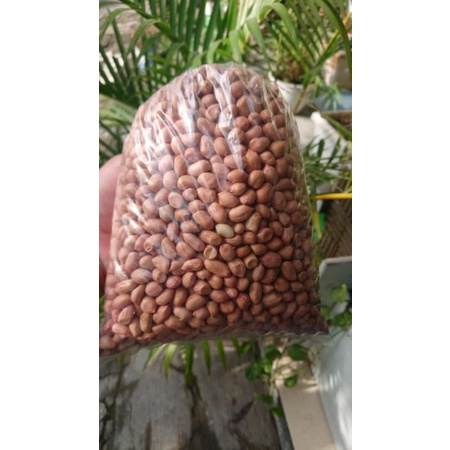 

Kacang Tanah 1Kg