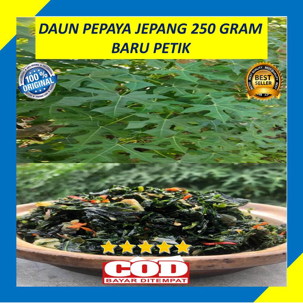 

Daun Pepaya Jepang Segar Sayur 250 Gram