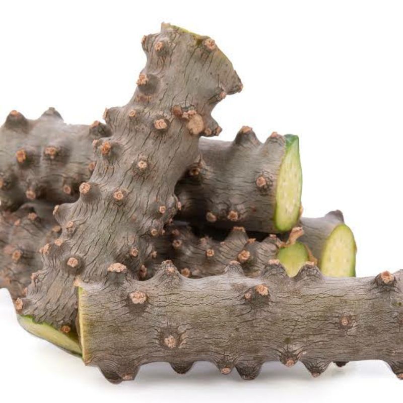 

Brotowali 50gr segar bratawali segar langsung di petik bisa di tanam kembali