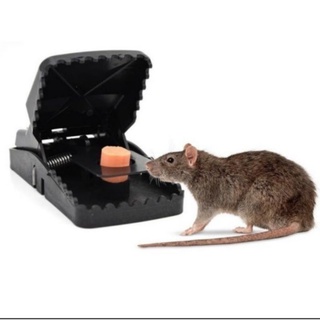 Perangkap Tikus Jebakan Tikus Jepit Oromatis Mouse Trap Pest Control KalaJepret
