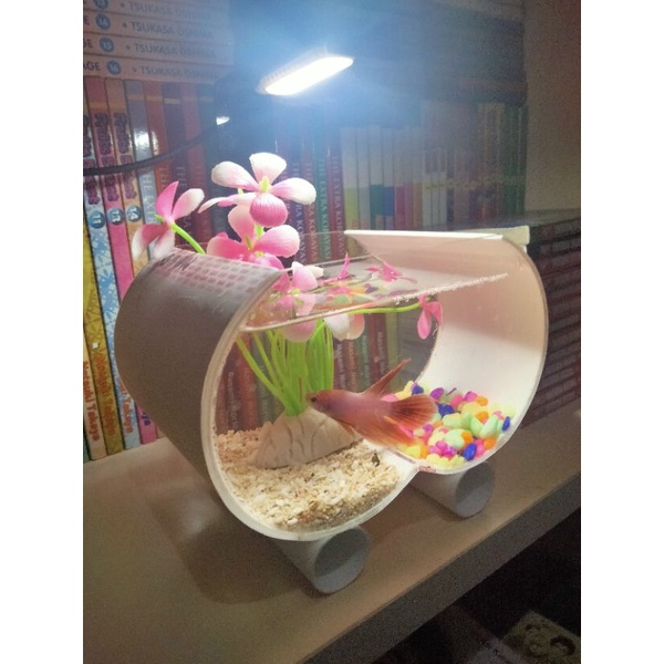 Akuarium mini bentuk unik cocok untuk cupang