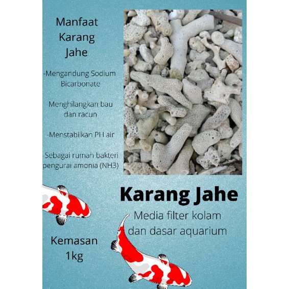 karang jahe MEDIA FILTER KOLAM TERMURAH/ KARANG JAHE 1KG MURAH/MEDIA FILTER KOLAM KOI TERMURAH