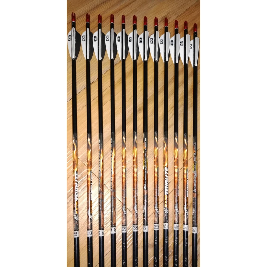 SALE   Arrow /Anak Panah Easton Tribute 1616