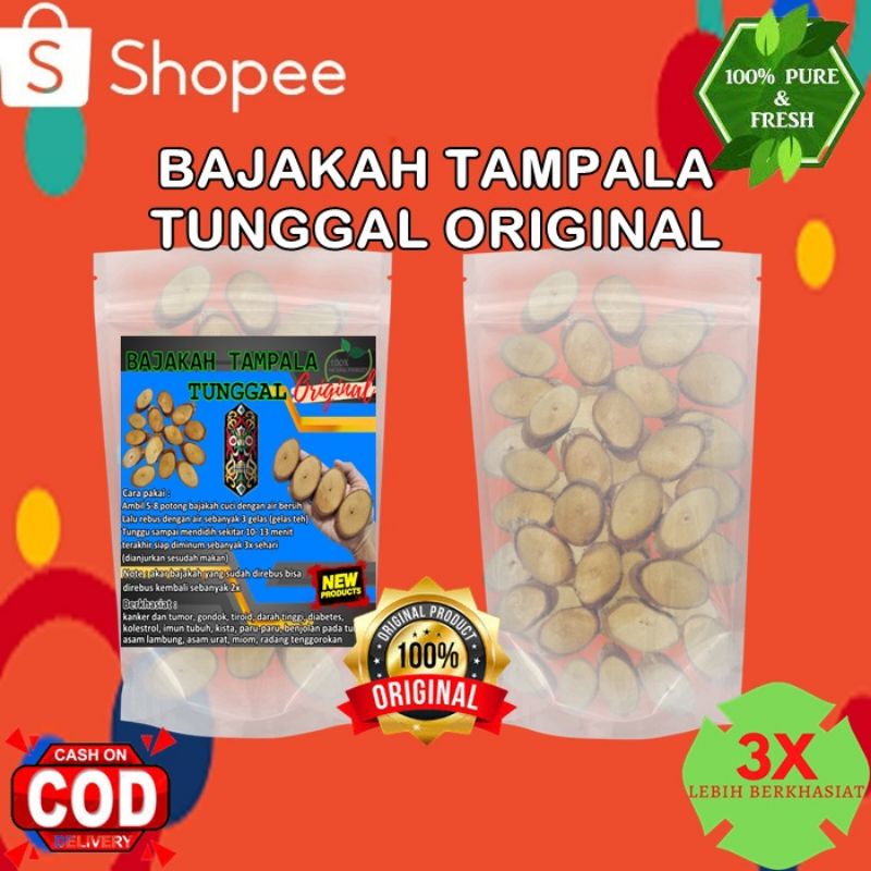 akar Bajakah / kayu bajakah asli kalimantan obat herbal turun temurun 3x lebih ampuh membunuh kanker