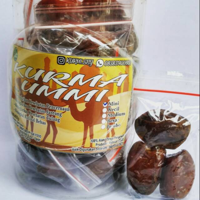 

KURMA UMMI MINI