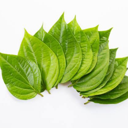 

Daun Sirih Segar