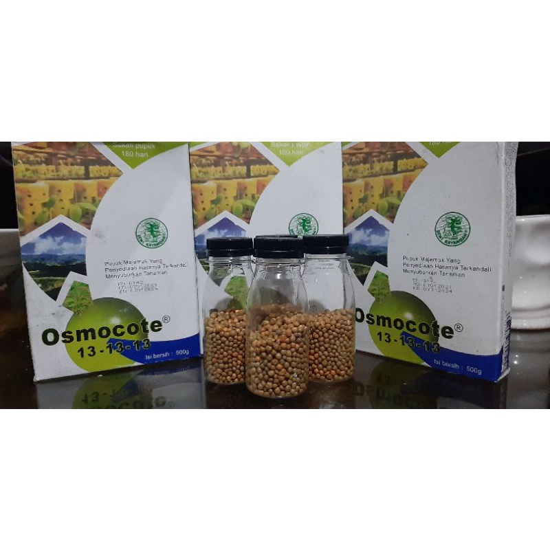 Pupuk decastar osmocote 131313 seimbang repack 50gr