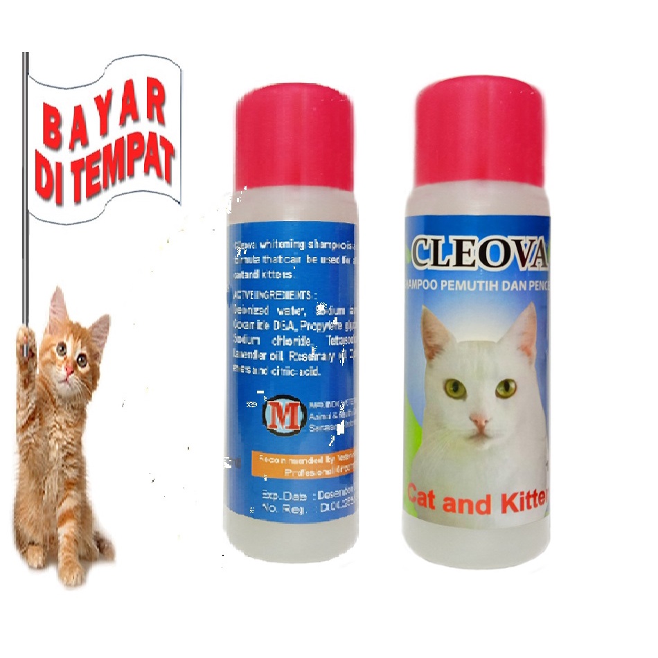 SAMPO KUCING CLEOVA SAMPO KUCING KHUSUS BULU PUTIH WHITE SOLID