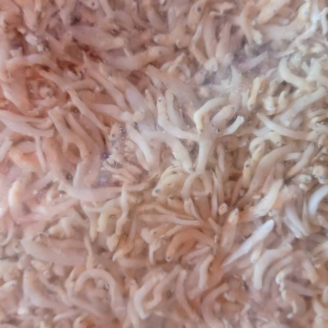 

Teri nasi medan.