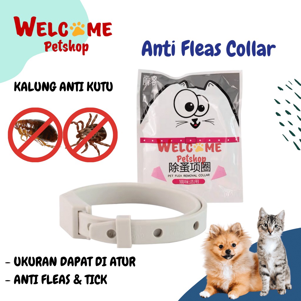 Anti Fleas Collar / Kalung Anti Kutu Fleas Kucing Anjing