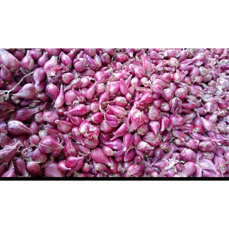 

BAWANG MERAH BREBES ASLI