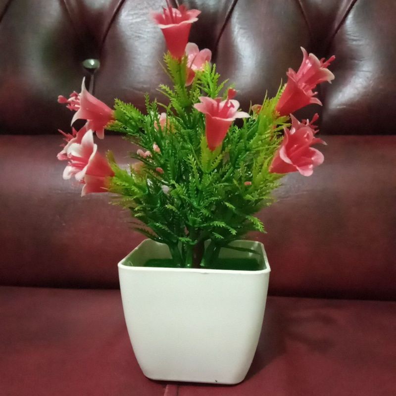 

bunga melati mini