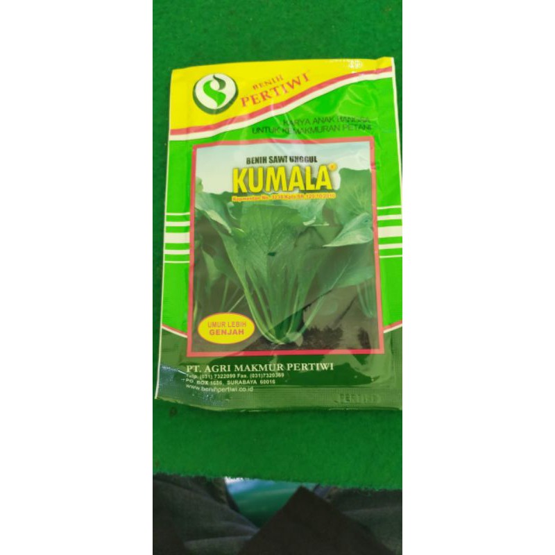 Benih Sawi Unggul KUMALA